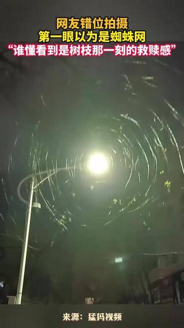 冠军之路坎坷重重，谁能走到最后一刻