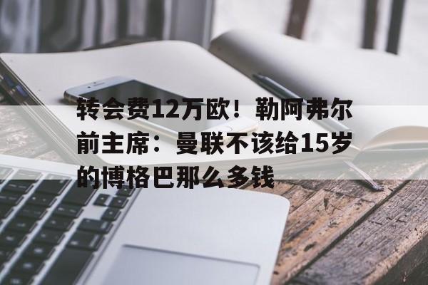包含转会费12万欧！勒阿弗尔前主席：曼联不该给15岁的博格巴那么多钱的词条